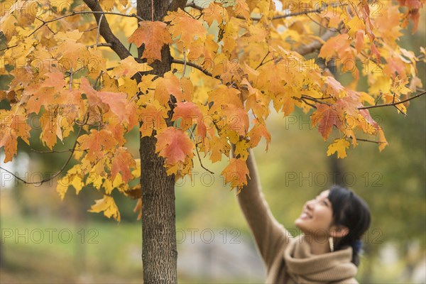 Asian woman reaching for autumn leaves in park