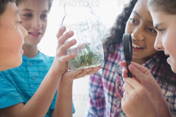 Children examining seeds in jar with magnifying glass