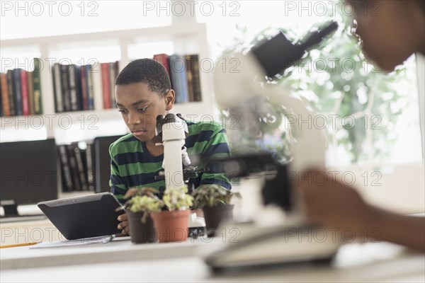 Black students using microscopes in science lab