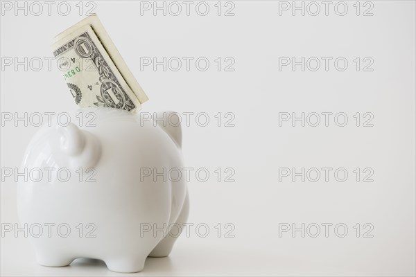 Close up of piggy bank with money