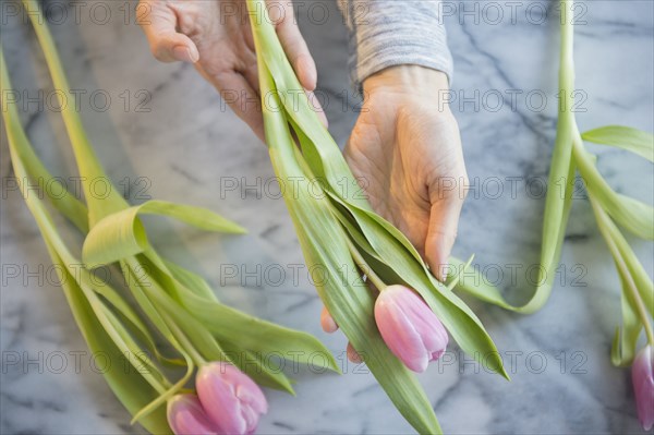 Mixed race woman holding tulips at table