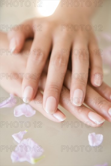 Close up of hands of Hispanic woman