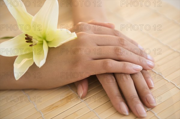 Hands of Hispanic woman with flower