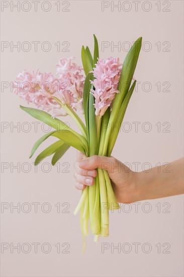 Hand of Caucasian woman holding bouquet of pink flowers