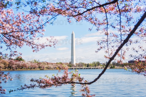 Distant Washington Monument