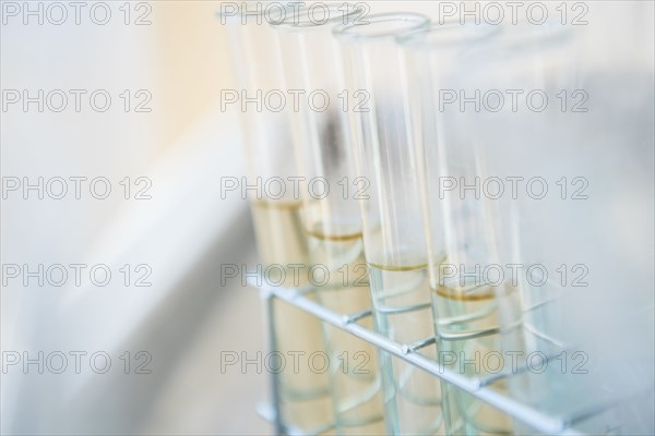 Yellow liquid in test tube rack