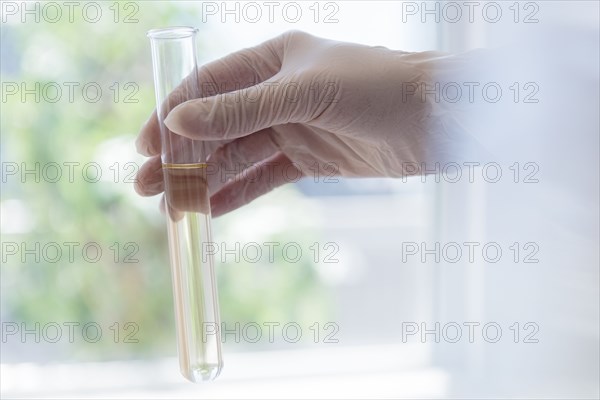 Hand holding test tube with yellow liquid