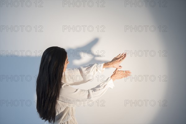 Hands of Indian woman casting shadow puppet on wall