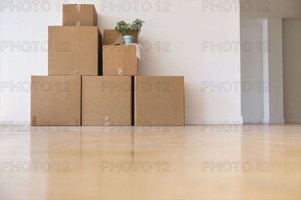 Cardboard boxes stacked against wall in empty apartment