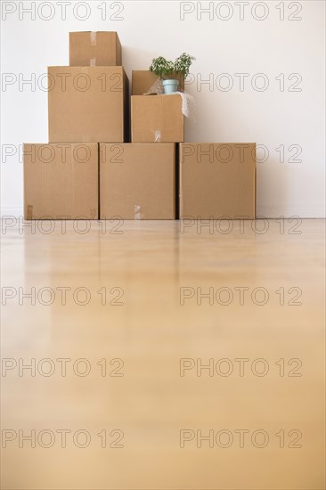 Cardboard boxes stacked against wall in empty apartment