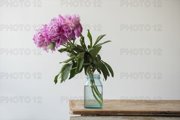 Pink flowers in jar on table