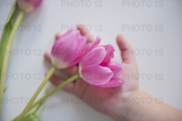 Hand of Caucasian girl holding tulips
