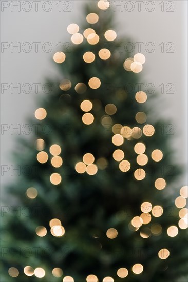 Defocused Christmas tree