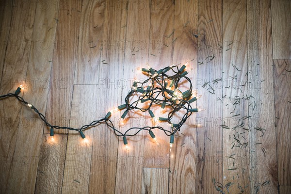 String lights on floor with Christmas tree pine needles