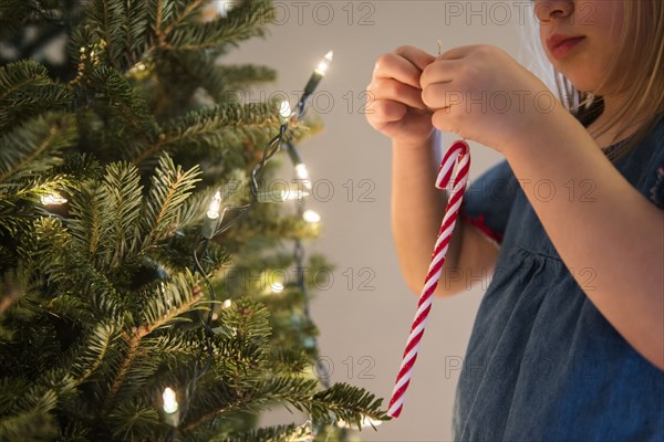 Caucasian girl hanging candy cane on Christmas tree