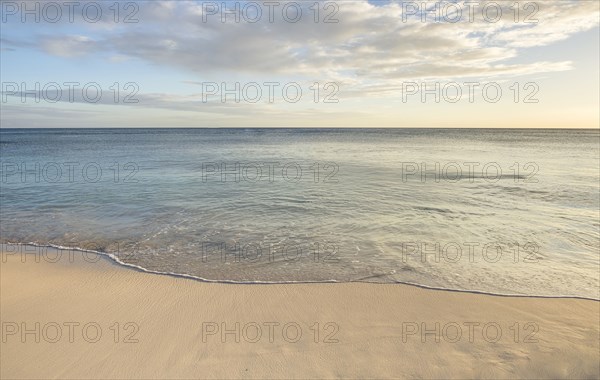 Ocean wave on beach