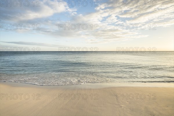 Ocean wave on beach