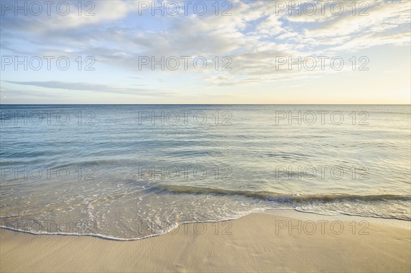 Ocean wave on beach