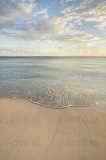 Ocean wave on beach