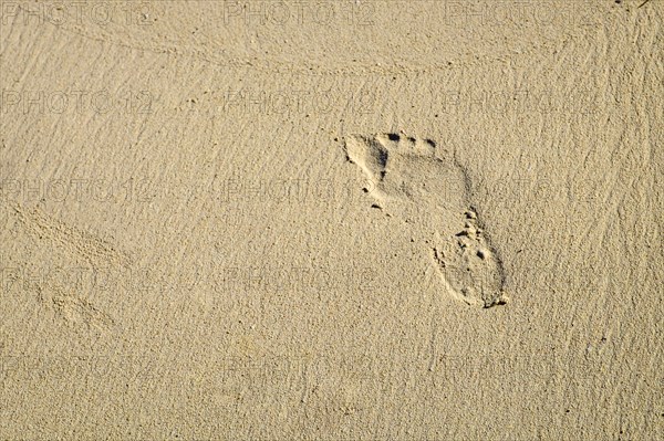 Footprint on beach