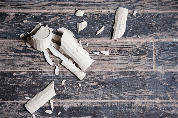 Broken shards of cup on wooden floor