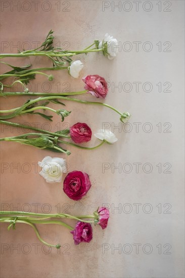 Flowers on table