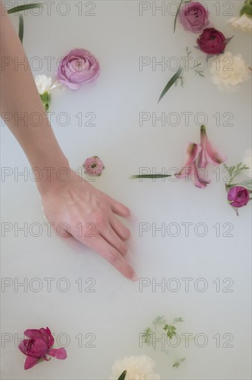Hand of Caucasian woman in milk bath with flowers