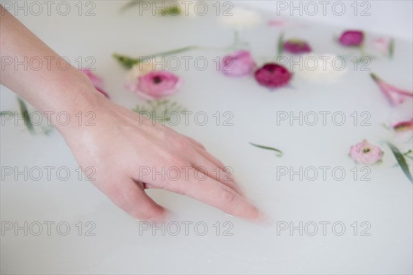 Hand of Caucasian woman in milk bath with flowers