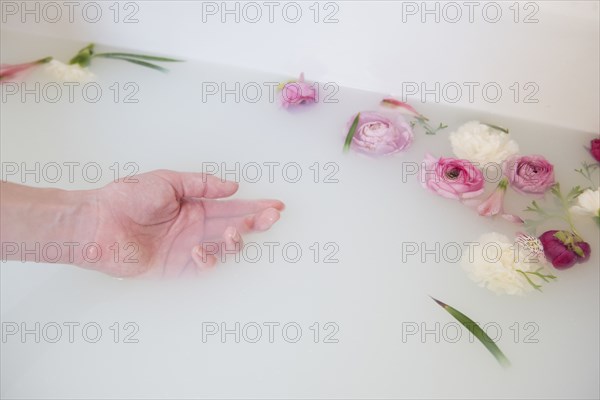 Hand of Caucasian woman in milk bath with flowers