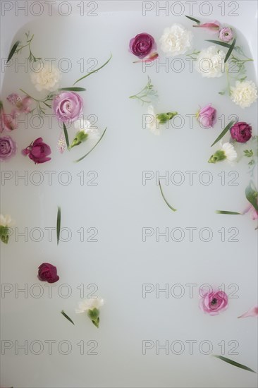 Flowers floating in milk bath