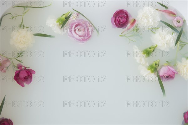 Flowers floating in milk bath