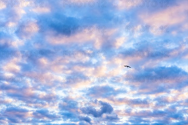 Clouds on sky at sunrise