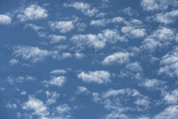 Puffy white clouds in blue sky