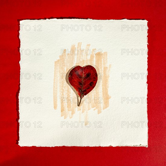 Red leaf in the shape of heart on watercolor paper