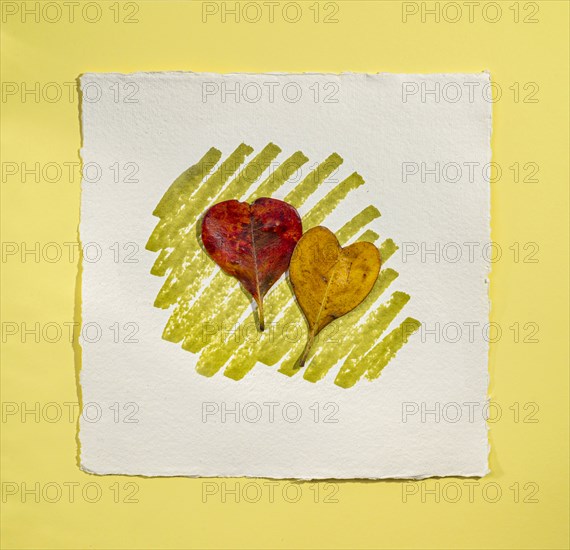 Two leaves in shape of heart on watercolor paper