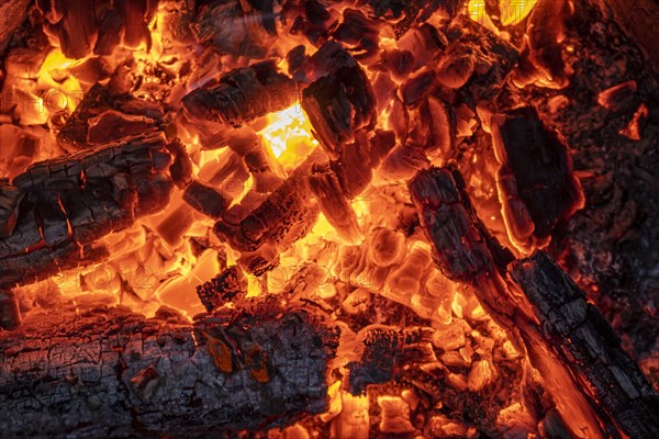 Close-up of hot burning embers