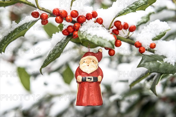 Santa Claus ornament