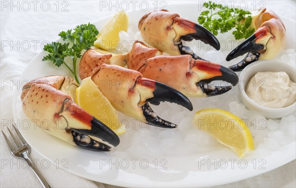 Plate of stone crab claws over ice with lemon and sauce