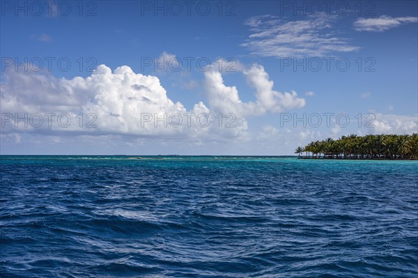 Ocean and tropical island