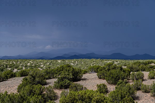 Desert landscape during monsoon season