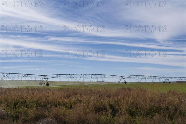 Irrigation system in field