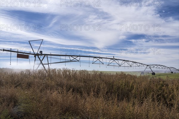 Irrigation system in field