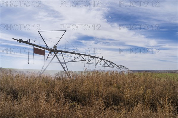 Irrigation system in field