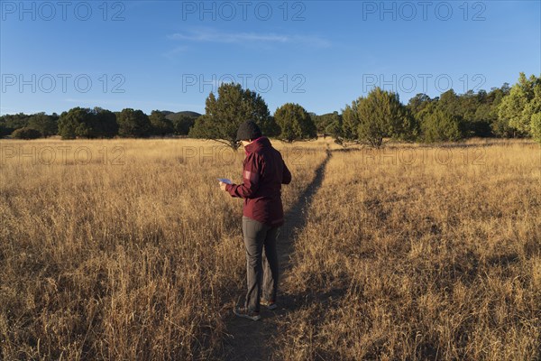 Woman o footpath crossing grassy field looking at map