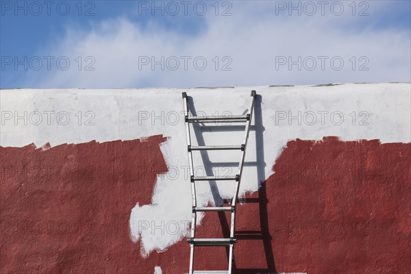 Ladder against partially painted brown and white wall