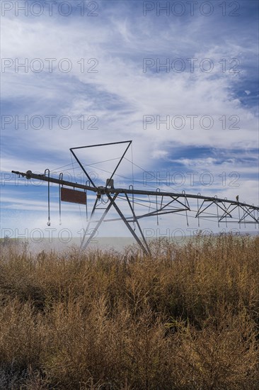 Irrigation system in field