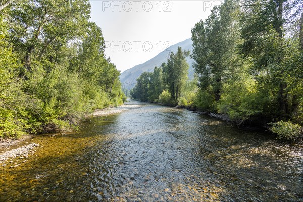 Big Wood River and trees on sunny day