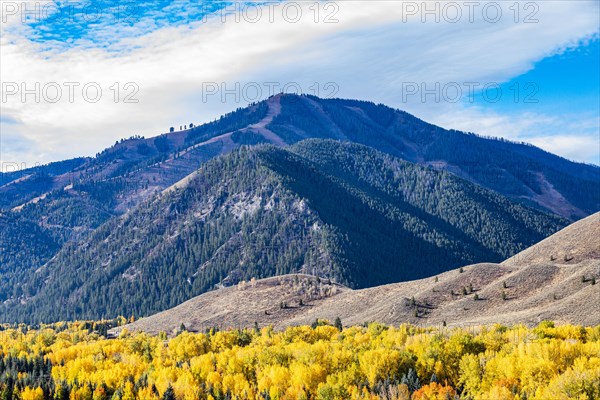 Forested hills in Autumn