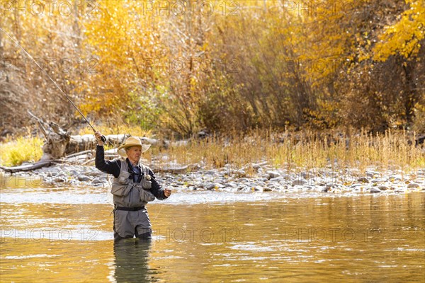 Senior man fly fishing in Big Wood River in Autumn