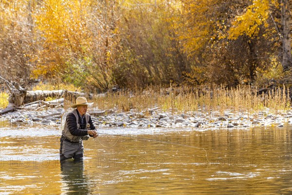Senior man fly fishing in Big Wood River in Autumn